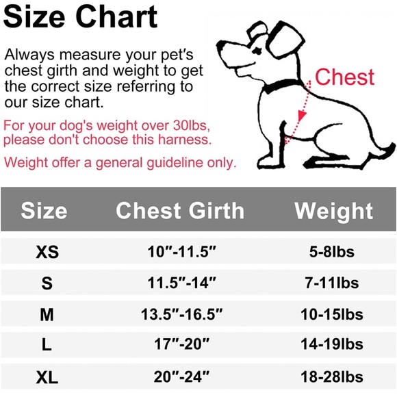 Dog harness size L with leash - Picture 2 of 5